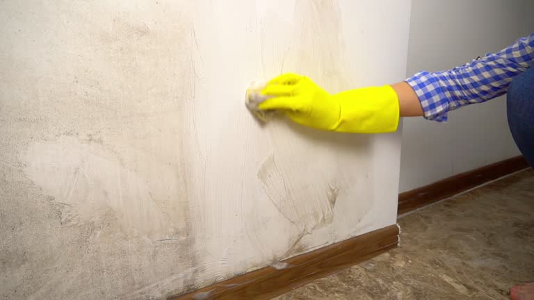  Byram Center, NJ Mold Removal Pros